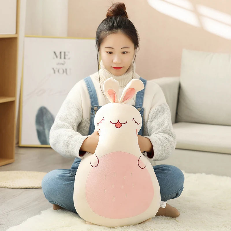 Kawaii Squishy Plush Pillow