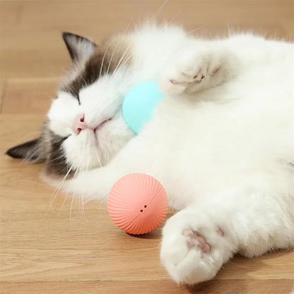 Smart Interactive Pet Ball