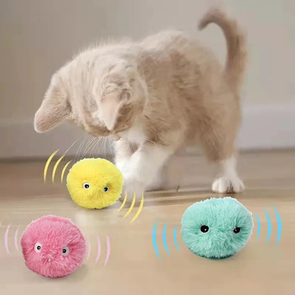 Interactive Electric Catnip Toy