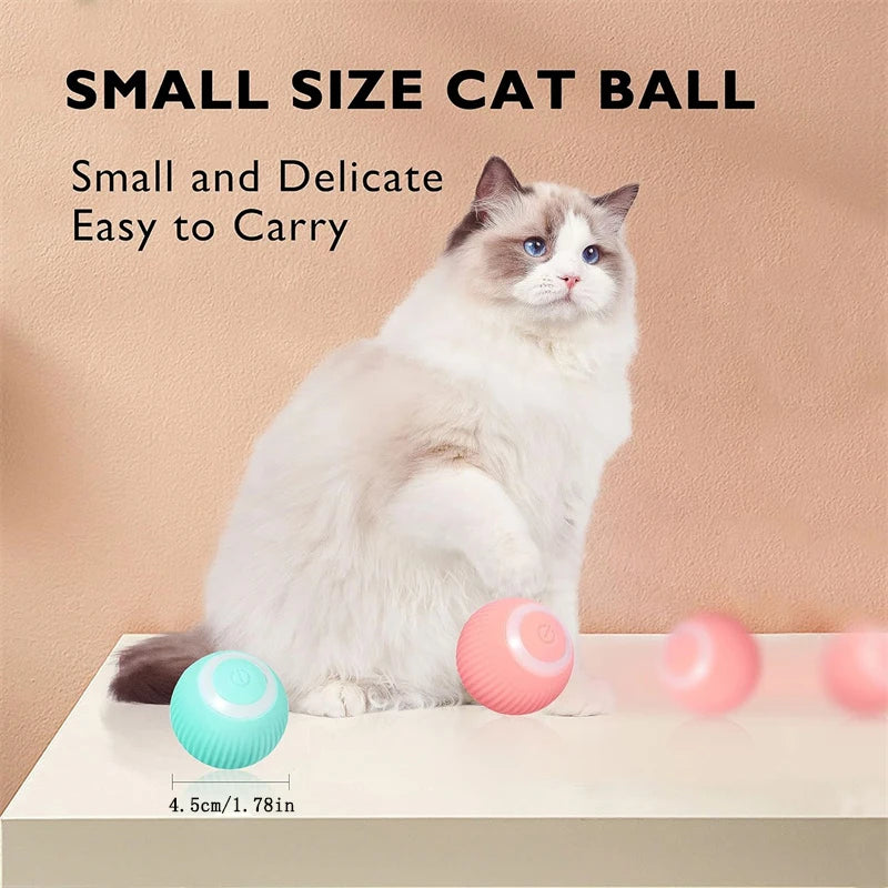 Smart Interactive Pet Ball