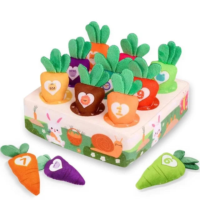 Montessori Carrot Pulling Toy