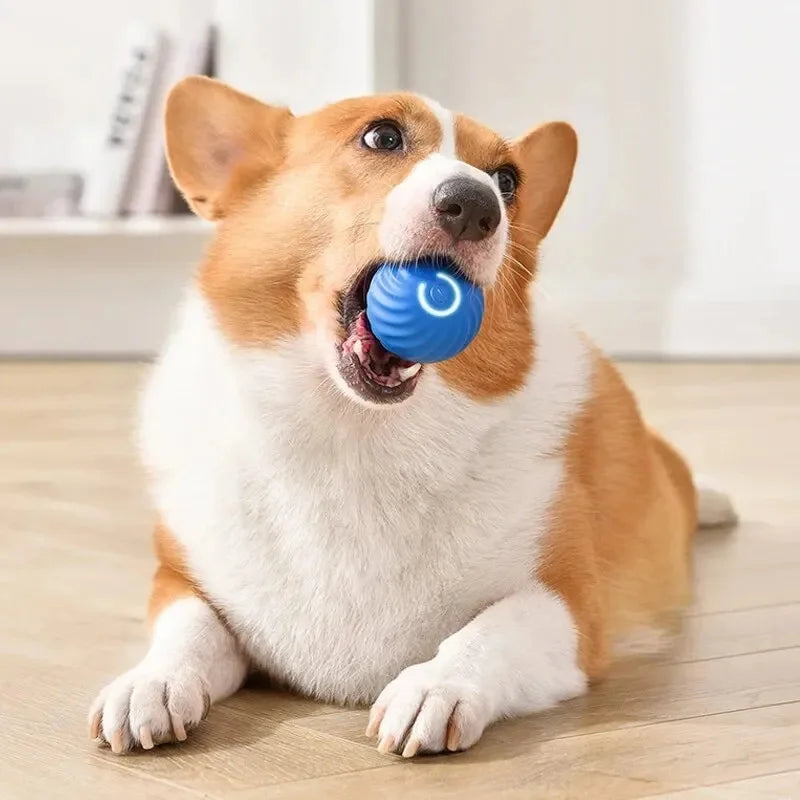 Smart Interactive Pet Ball