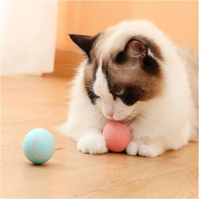 Smart Interactive Pet Ball