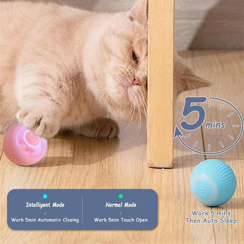 Smart Interactive Pet Ball