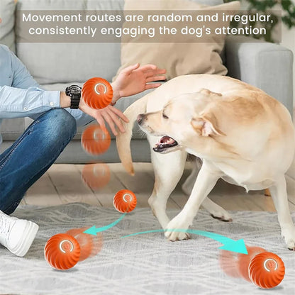 Smart Interactive Pet Ball